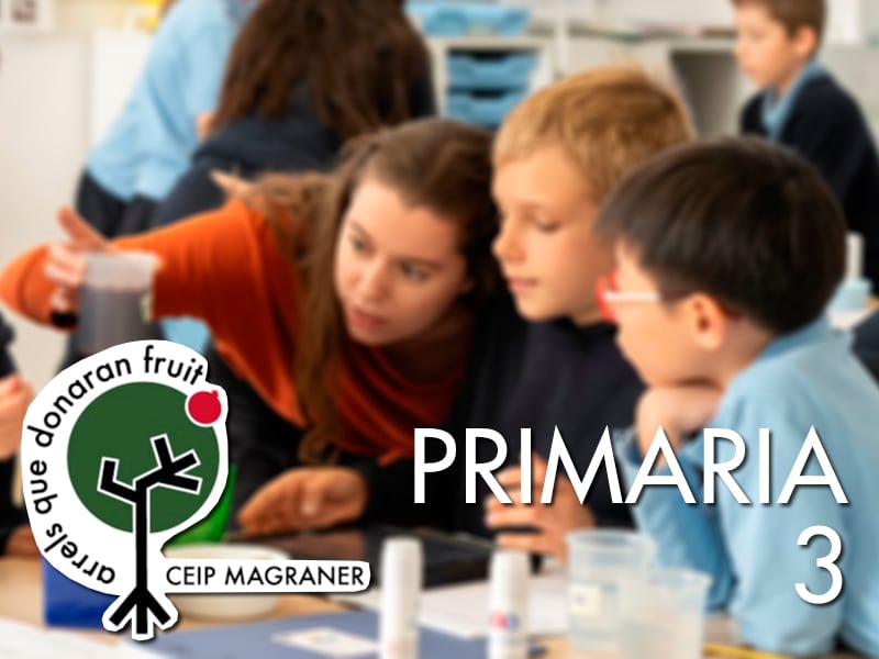 primaria-3