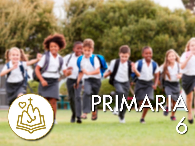 primaria-6