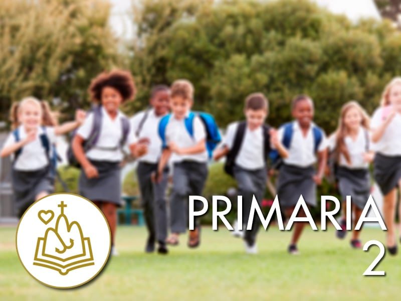 primaria-2