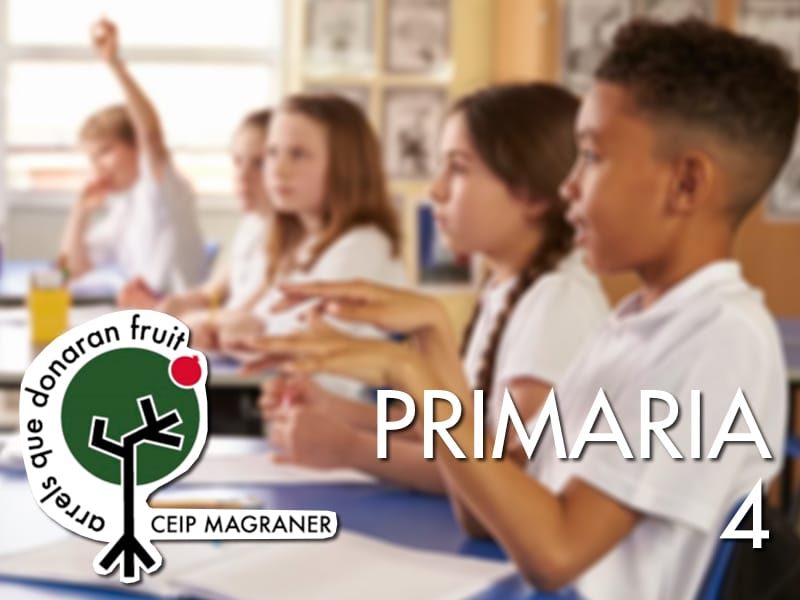 primaria-4