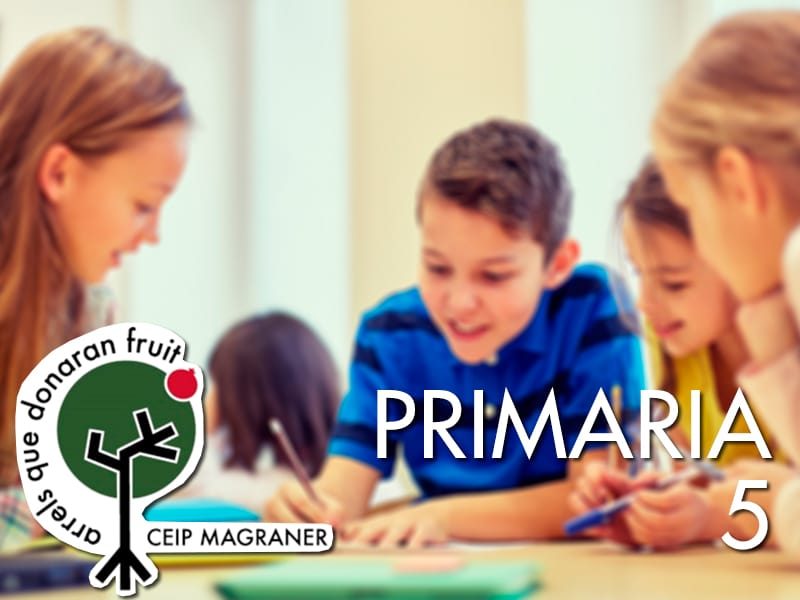 primaria-5